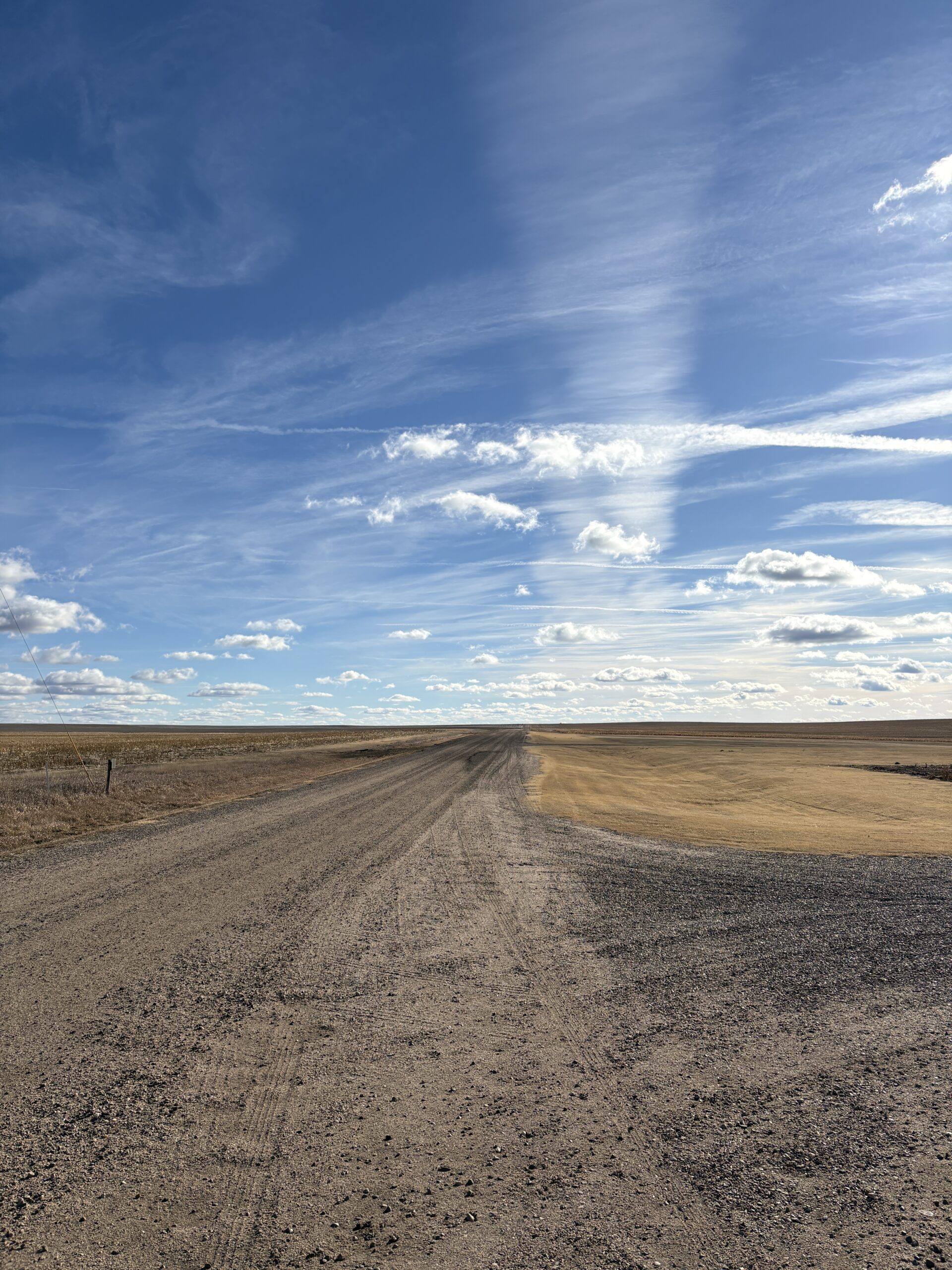 a long dirt road with interesting clouds, and brown winter grass